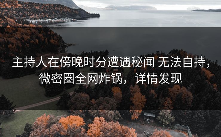 主持人在傍晚时分遭遇秘闻 无法自持,微密圈全网炸锅,详情发现