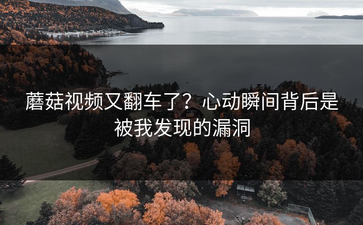蘑菇视频又翻车了?心动瞬间背后是被我发现的漏洞