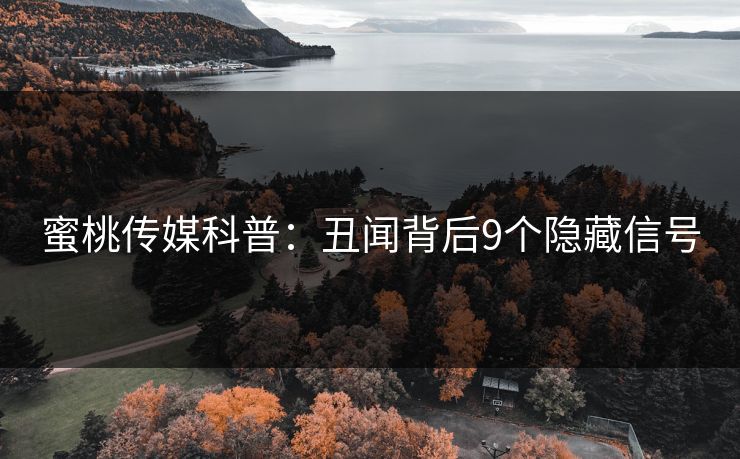 蜜桃传媒科普：丑闻背后9个隐藏信号