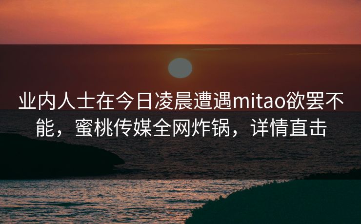 业内人士在今日凌晨遭遇mitao欲罢不能，蜜桃传媒全网炸锅，详情直击